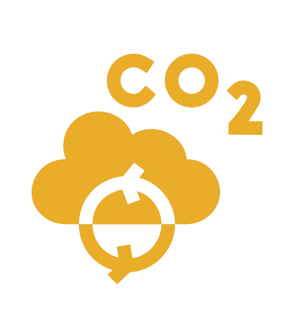 Energy Conservation and Consumption Reduction Dual Carbon Strategy